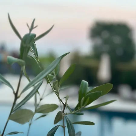 Aquamarine - Beach&spa Hotel- Hotel 4*